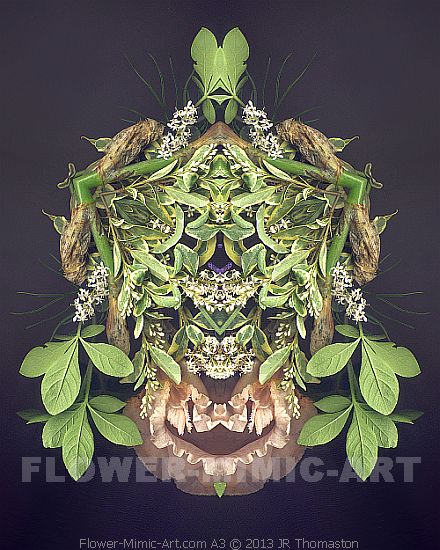 Foliate Face in Composed Botanical Art Arrangement of Blossoms and Mixed Green Image A3