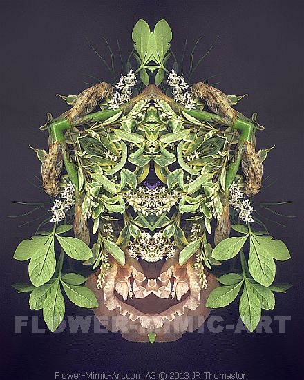 Foliate Face Botanical Art Greenman Image A3