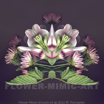 Plant Art Image Mirrored Pink & Green Perceived Flower Figure A4
