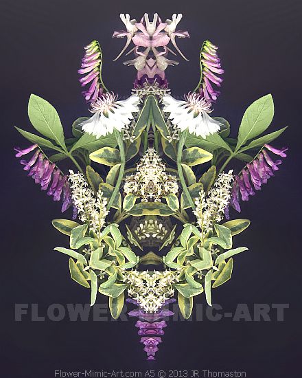 Modern Mirrored Botanical Imaginary Art Flower Illusion Image A5