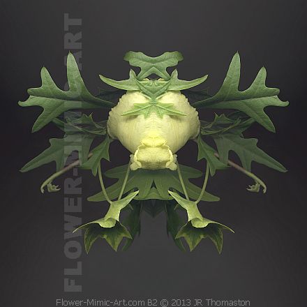 Composed Flower Art Yellow & Green Botanical Oak Leaf Image B2