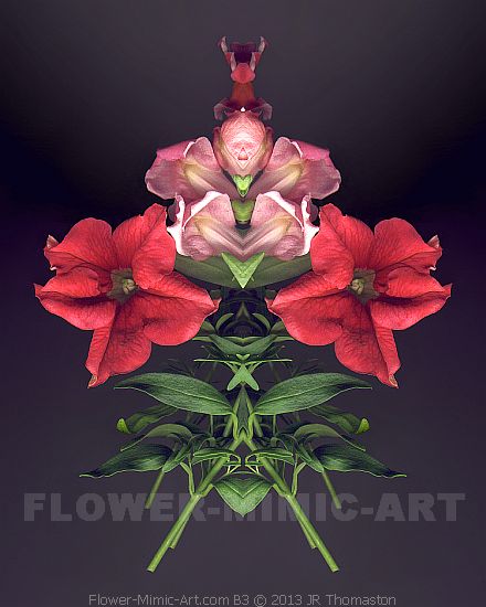 Garden Apparition in Pink & Red Botanicals Floral Art Image B3