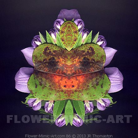 Florid Botanical Art Arranged Lavender Flowers & Colored Leaves Image B6